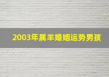 2003年属羊婚姻运势男孩