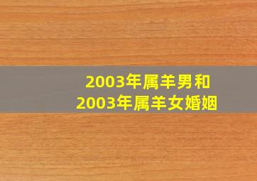 2003年属羊男和2003年属羊女婚姻