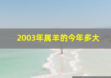 2003年属羊的今年多大