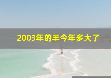 2003年的羊今年多大了