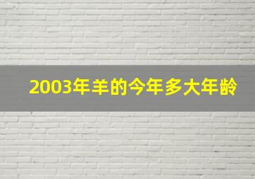 2003年羊的今年多大年龄