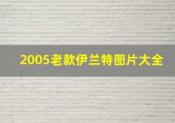 2005老款伊兰特图片大全