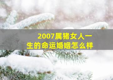 2007属猪女人一生的命运婚姻怎么样