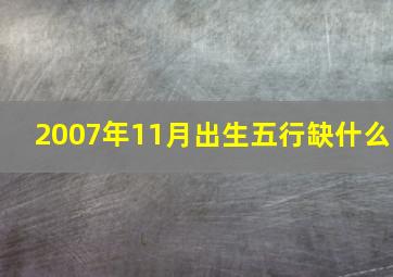 2007年11月出生五行缺什么