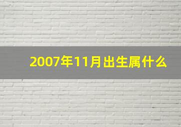 2007年11月出生属什么