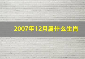 2007年12月属什么生肖