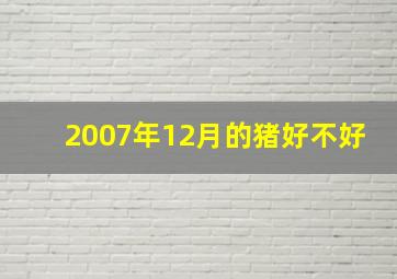 2007年12月的猪好不好