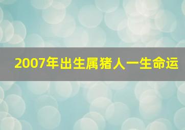 2007年出生属猪人一生命运