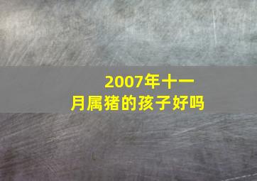 2007年十一月属猪的孩子好吗