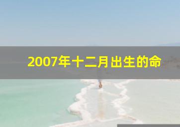 2007年十二月出生的命