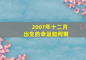 2007年十二月出生的命运如何呢