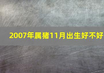 2007年属猪11月出生好不好