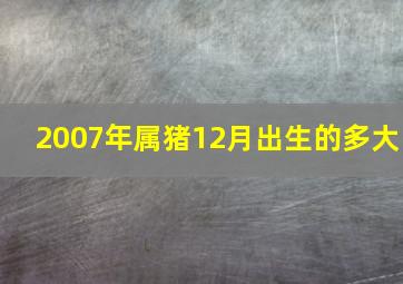 2007年属猪12月出生的多大