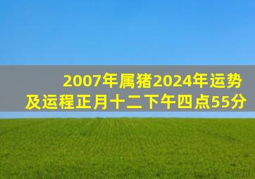 2007年属猪2024年运势及运程正月十二下午四点55分