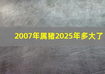 2007年属猪2025年多大了