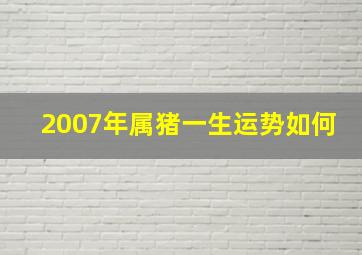 2007年属猪一生运势如何