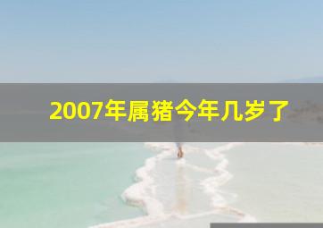 2007年属猪今年几岁了