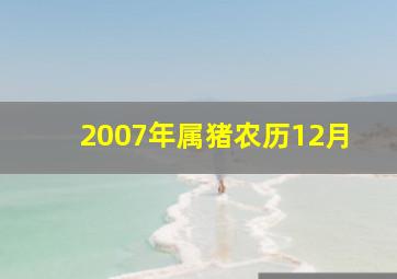 2007年属猪农历12月