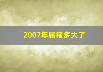 2007年属猪多大了