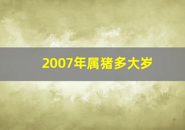 2007年属猪多大岁