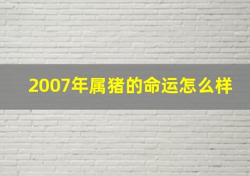 2007年属猪的命运怎么样