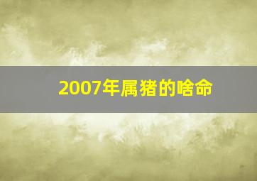 2007年属猪的啥命