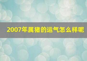 2007年属猪的运气怎么样呢