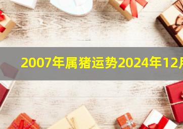 2007年属猪运势2024年12月