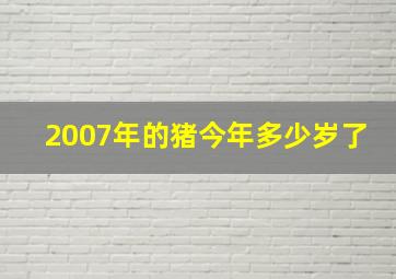 2007年的猪今年多少岁了