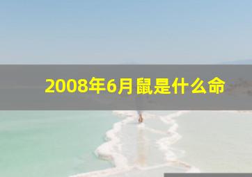 2008年6月鼠是什么命