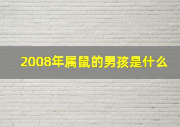 2008年属鼠的男孩是什么