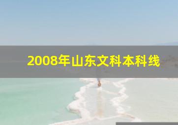 2008年山东文科本科线