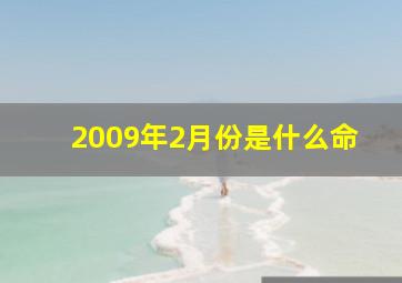 2009年2月份是什么命