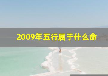 2009年五行属于什么命