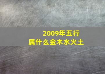 2009年五行属什么金木水火土