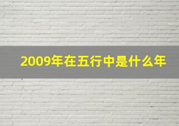 2009年在五行中是什么年