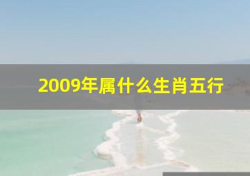 2009年属什么生肖五行