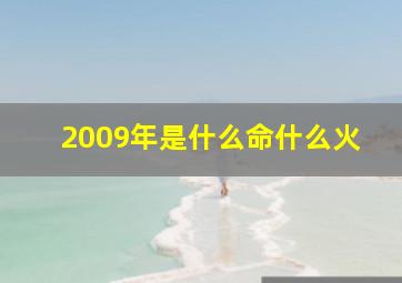 2009年是什么命什么火