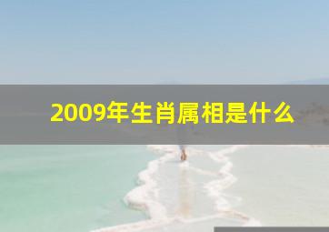 2009年生肖属相是什么