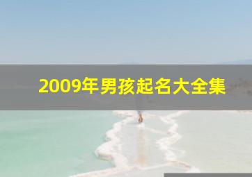 2009年男孩起名大全集