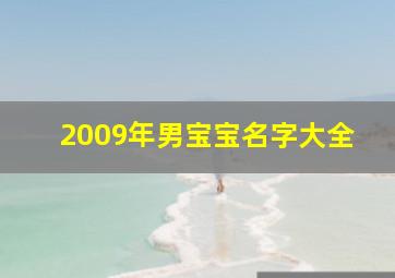 2009年男宝宝名字大全