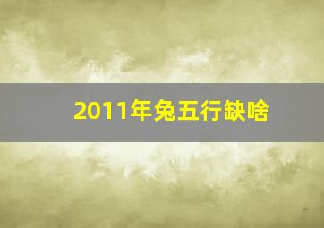 2011年兔五行缺啥