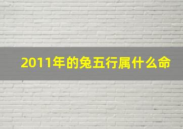 2011年的兔五行属什么命