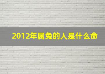 2012年属兔的人是什么命