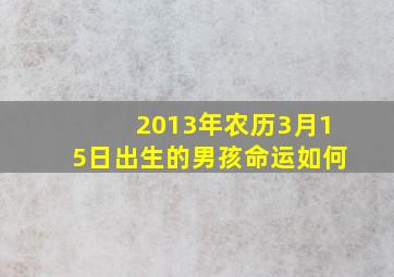 2013年农历3月15日出生的男孩命运如何