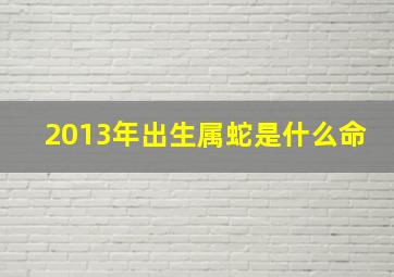 2013年出生属蛇是什么命