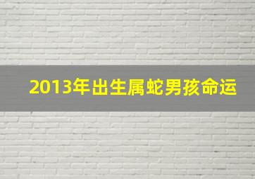 2013年出生属蛇男孩命运