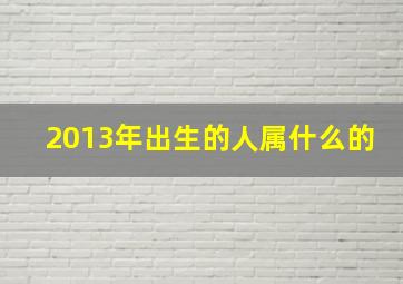 2013年出生的人属什么的