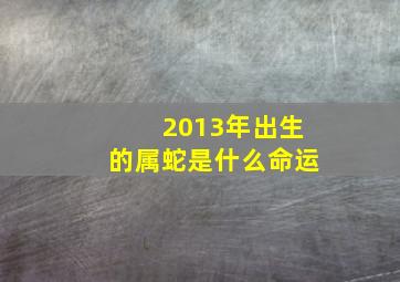 2013年出生的属蛇是什么命运