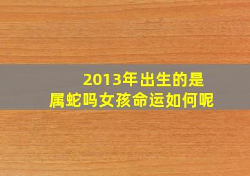 2013年出生的是属蛇吗女孩命运如何呢